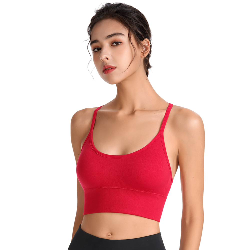 Sports Wear For Women Gym Bra  - Yoga Fitness Plus ulasan dan harga